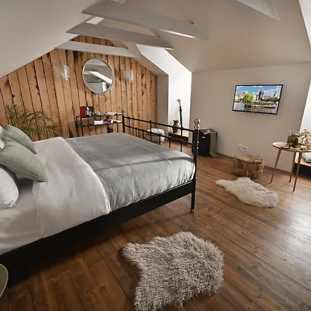 U Suteru Boutique 4* Πράγα